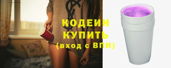 стаф Заводоуковск