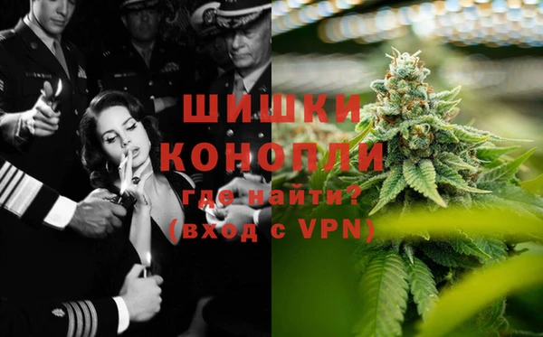 стаф Заводоуковск