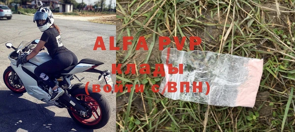 стаф Заводоуковск