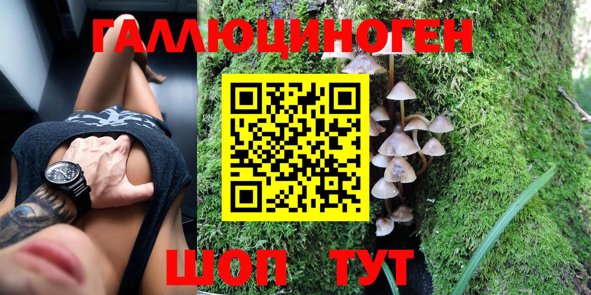 Псилоцибиновые грибы Psilocybine cubensis Россия