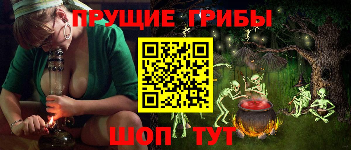 Россия  Псилоцибиновые грибы MAGIC MUSHROOMS  Вход с VPN  дарнет шоп  Галлюциногенные грибы Cubensis 