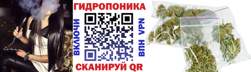 Бошки Шишки AK-47  блэк спрут ССЫЛКА  Уфа 